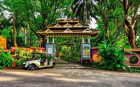 Kairali - The Ayurvedic Healing Village