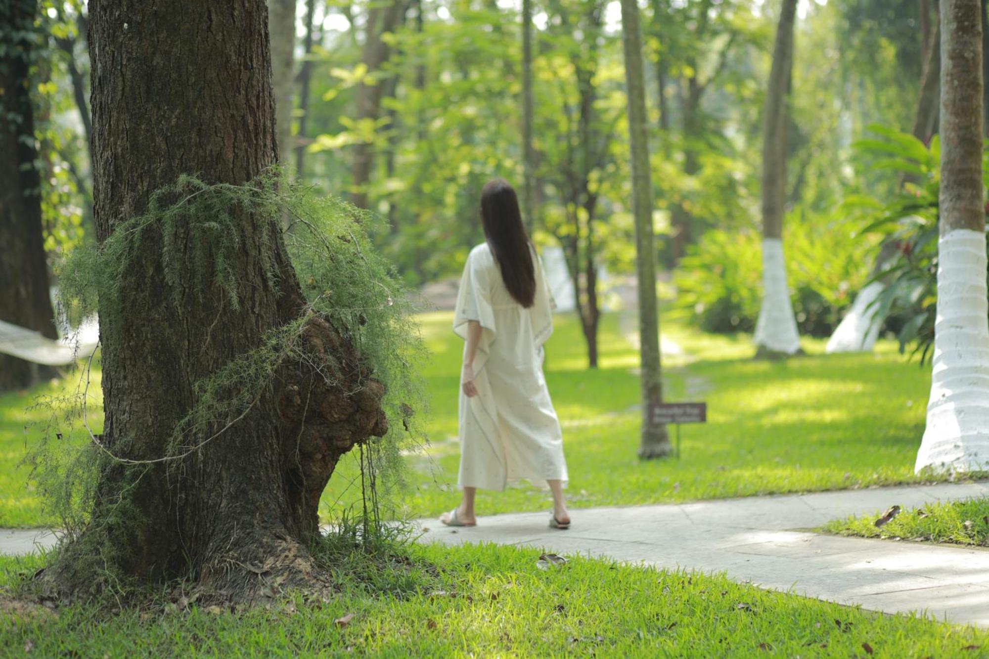 Kairali - The Ayurvedic Healing Village Palakkad Exterior photo